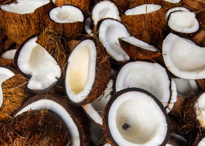 Eracoconut product1