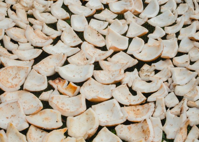 Eracoconut product25